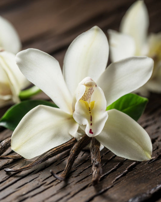 Why Your Home Doesn't Smell Good! Room Spray Solutions